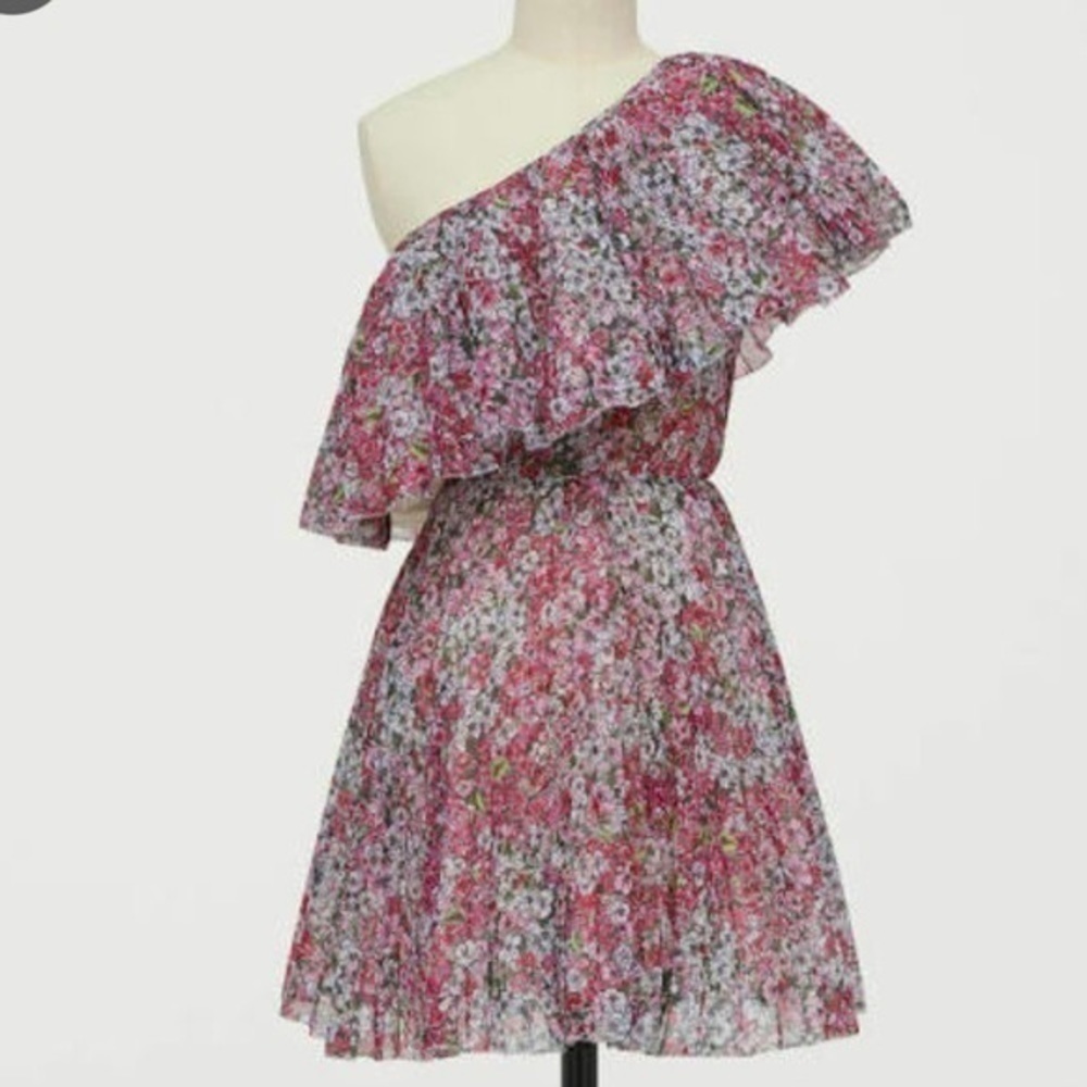 GIAMBATTISTA Valli x H&M One-Shoulder Floral Dress NWT